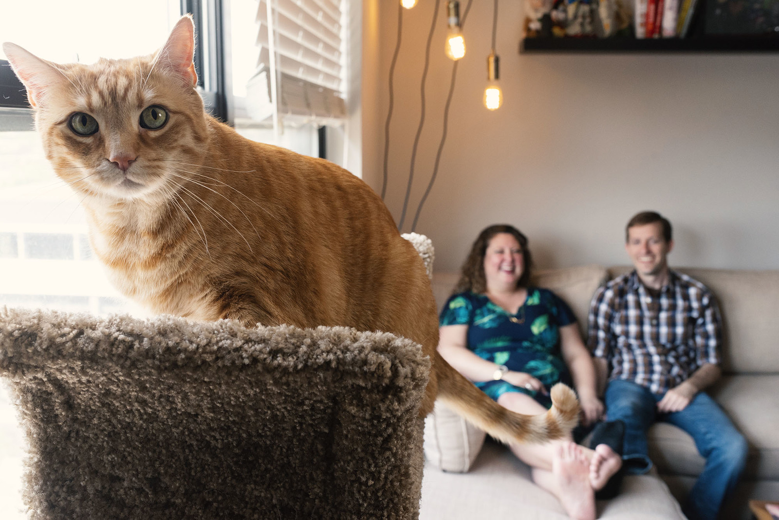 Lakeview Chicago engagement shoot with house cat by Candice Cusic Photography